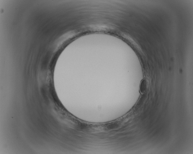 X0000081290583200702012246