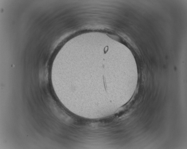 X0000081290584200702012246