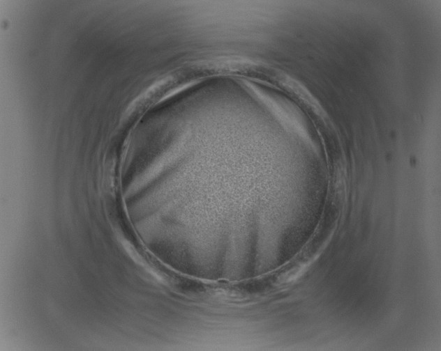 X0000081290585200702012246