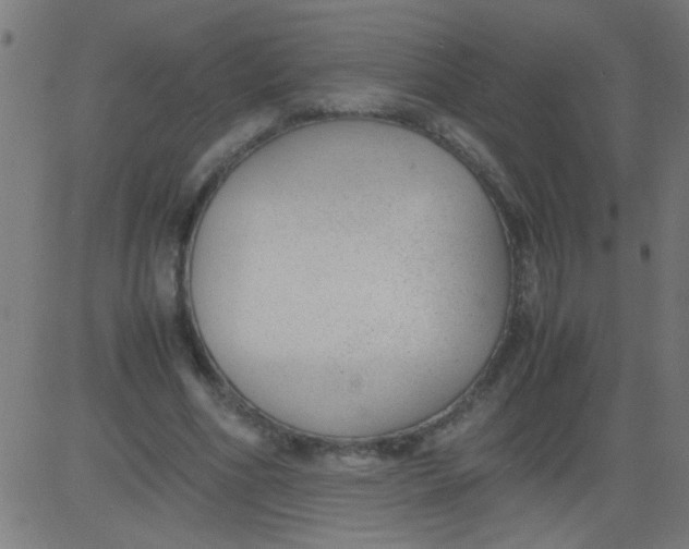 X0000081290586200702012246