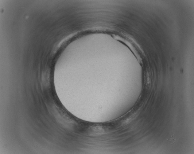 X0000081290588200702012246