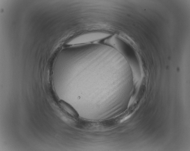 X0000081290589200702012246