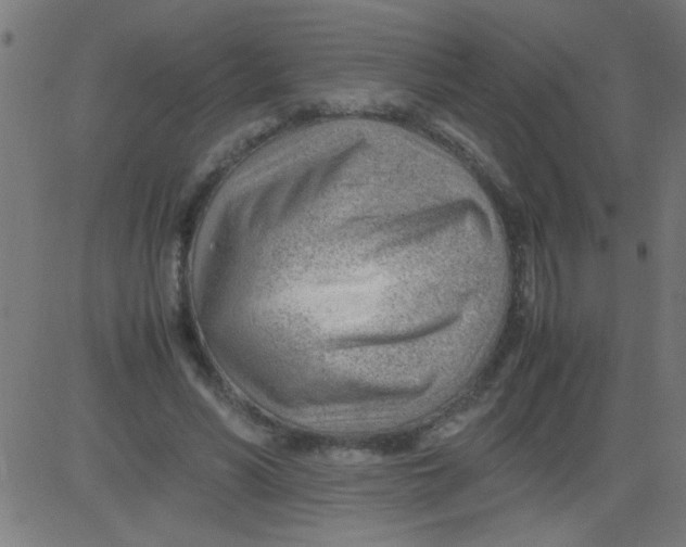 X0000081290590200702012246