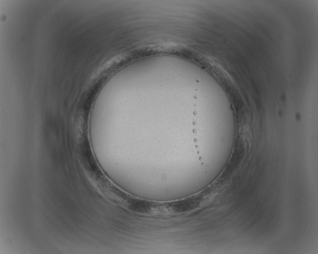 X0000081290591200702012246