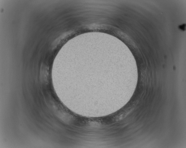 X0000081290592200702012246