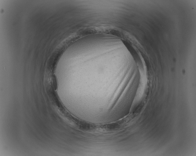 X0000081290593200702012246