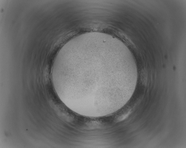 X0000081290594200702012246