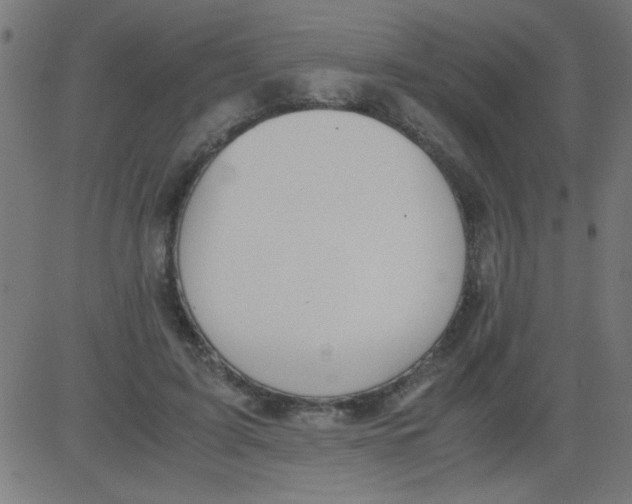 X0000081290595200702012246