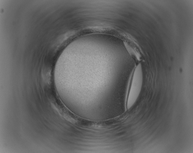 X0000081290596200702012246