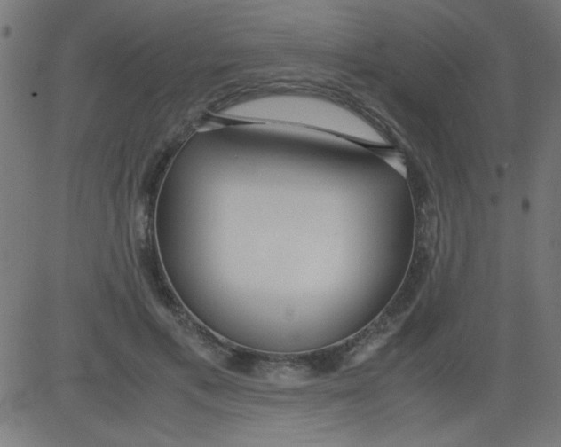 X0000081290597200702012246