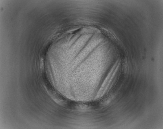 X0000081290598200702012246