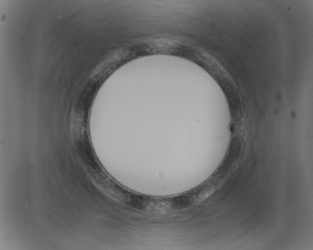 X0000081290599200702012246