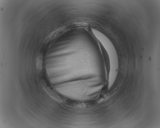 X0000081290600200702012246