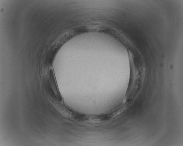 X0000081290601200702012246