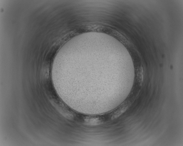 X0000081290602200702012246