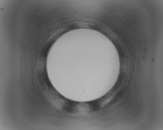 X0000081290603200702012246