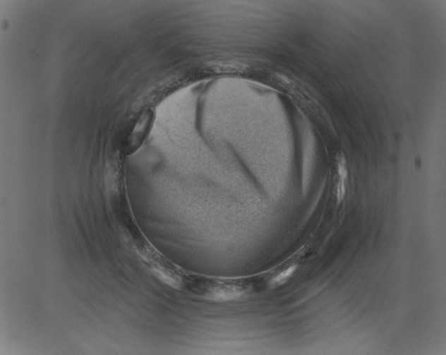 X0000081290604200702012246