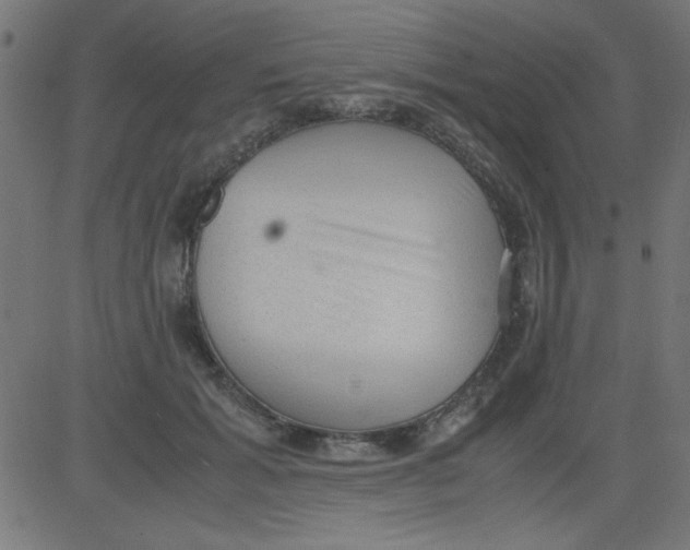 X0000081290605200702012246