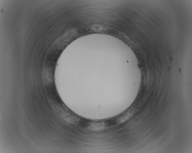 X0000081290606200702012246