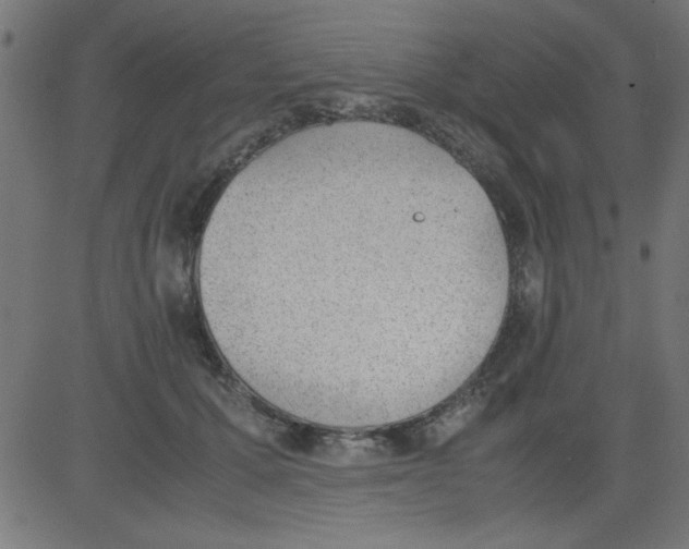 X0000081290607200702012246