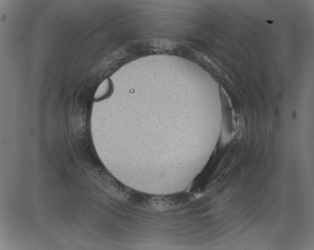 X0000081290608200702012246