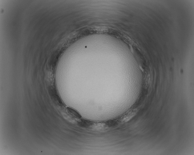 X0000081290609200702012246