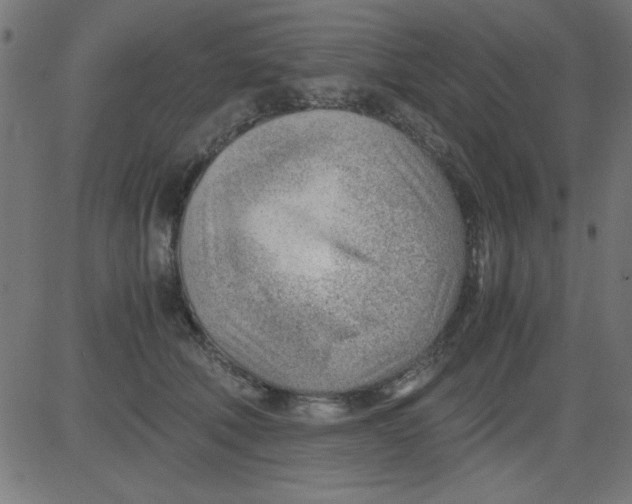 X0000081290610200702012246