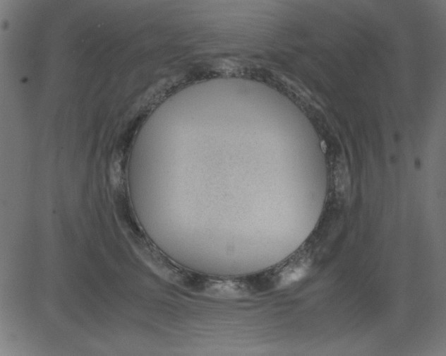 X0000081290611200702012246