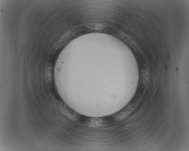 X0000081290612200702012246