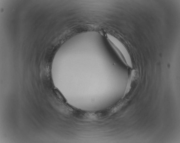 X0000081290613200702012246