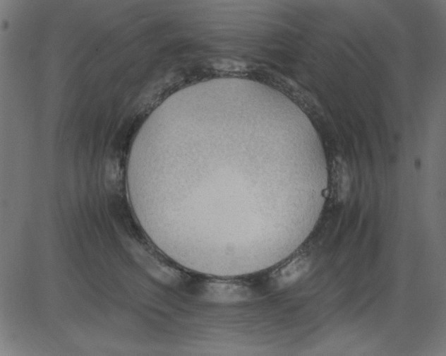 X0000081290614200702012246