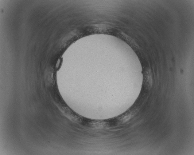 X0000081290615200702012246