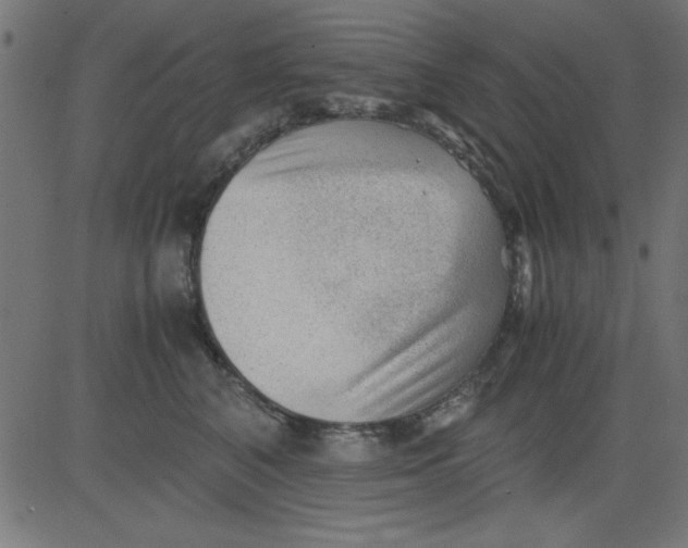 X0000081290616200702012246