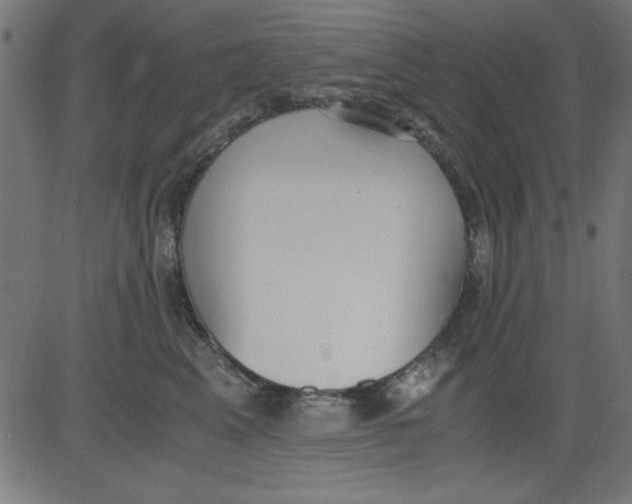 X0000081290617200702012246