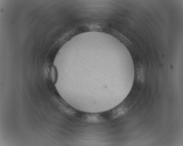 X0000081290618200702012246