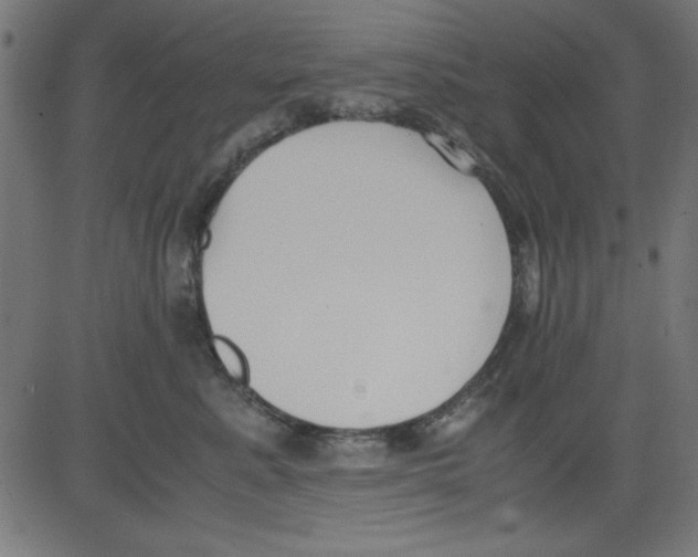 X0000081290619200702012246