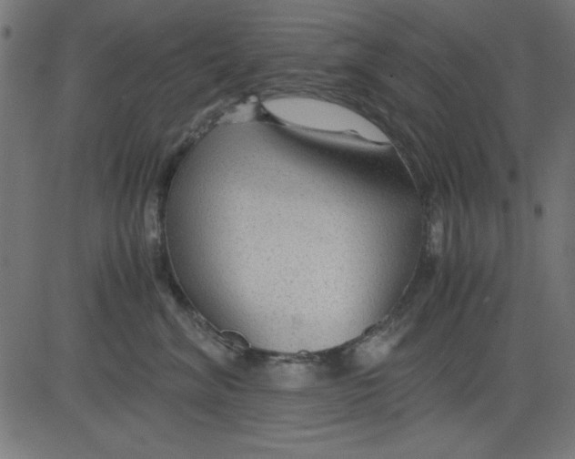 X0000081290620200702012246