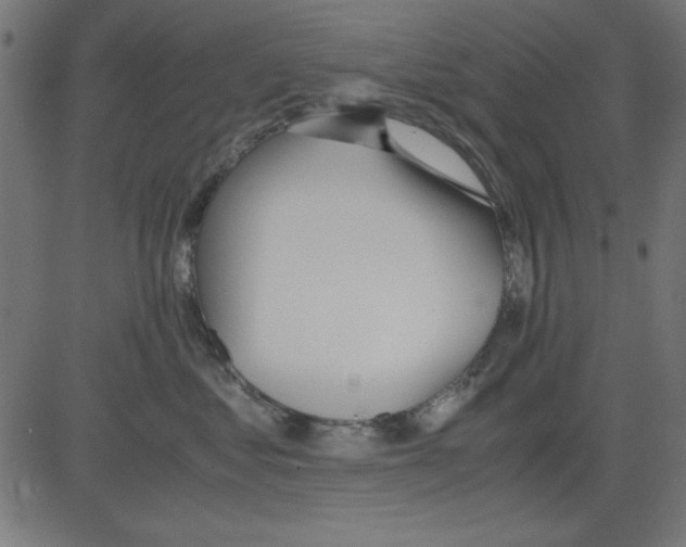 X0000081290621200702012246