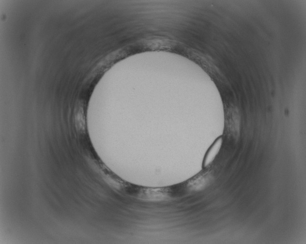 X0000081290622200702012246