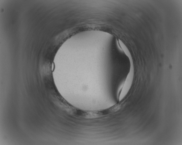 X0000081290623200702012246