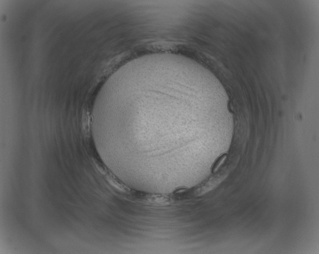 X0000081290624200702012246