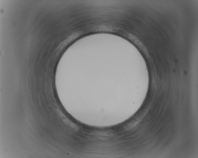 X0000081290625200702012245