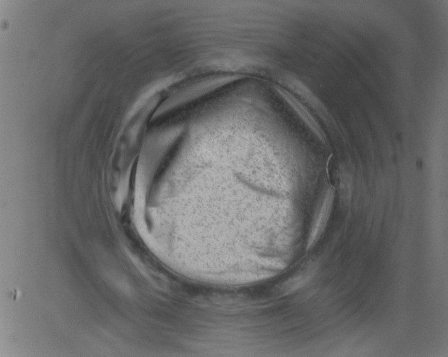 X0000081290626200702012245