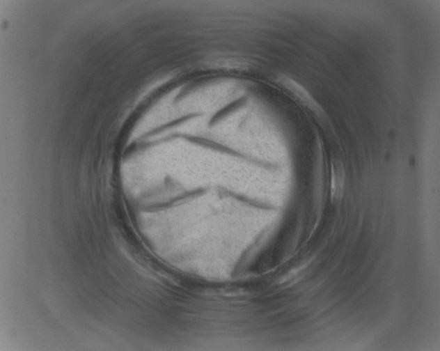 X0000081290627200702012245