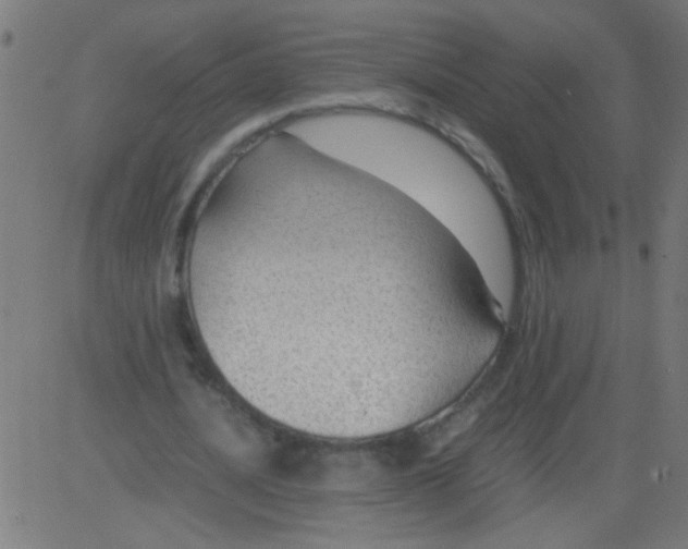 X0000081290628200702012245