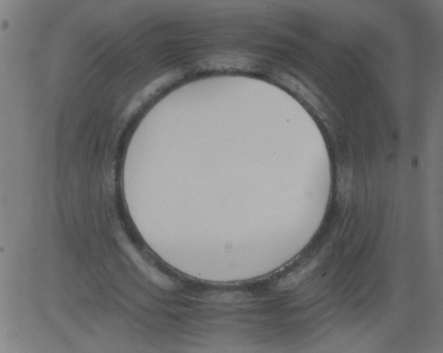 X0000081290629200702012245