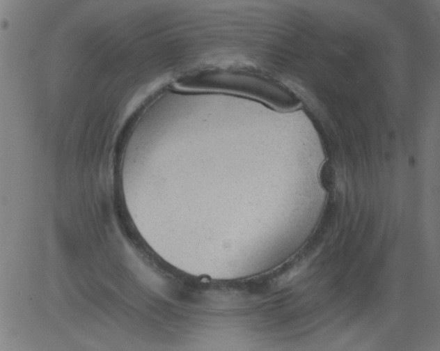 X0000081290630200702012245