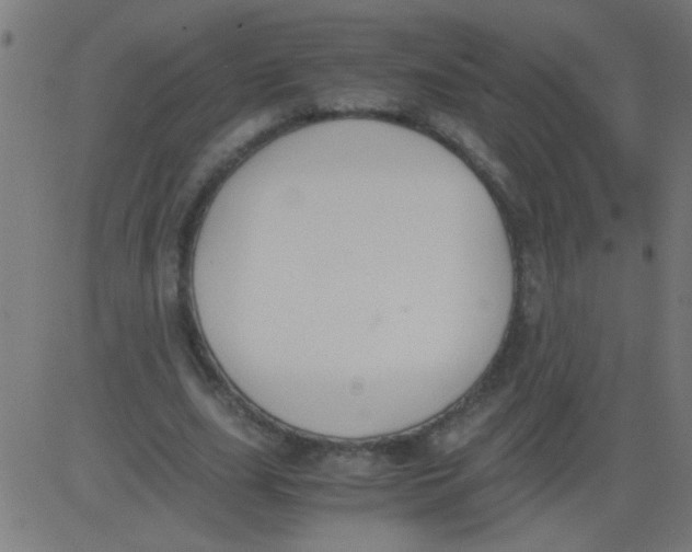 X0000081290631200702012245