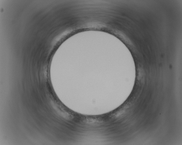 X0000081290632200702012245