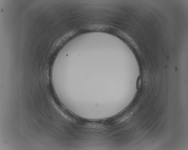 X0000081290633200702012245